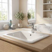Plumbing & Sanitaryware
